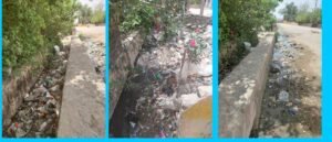 Picsart_25-06-04_17-41-02-508