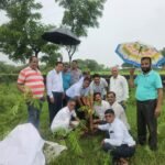 लायंस क्लब केकड़ी द्वारा लगाए गए 101 पौधे