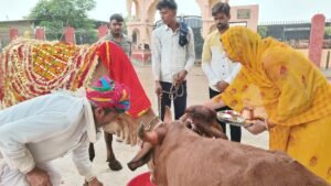 IMG-20251030-WA0046(1)