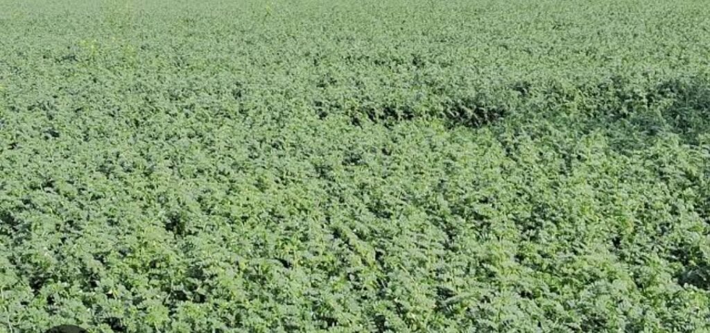 Screenshot_2025-10-10-19-38-40-21_680d03679600f7af0b4c700c6b270fe7