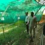 ग्राम पंचायत गोरधा बनी मिसाल: हरियाली, स्वच्छता और सौंदर्यीकरण से बदली पहचान