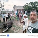 ग्रामीणों ने दिखाई मानवता: घायल नंदी को सुरक्षित पहुंचाया बढ़ते कदम गौशाला